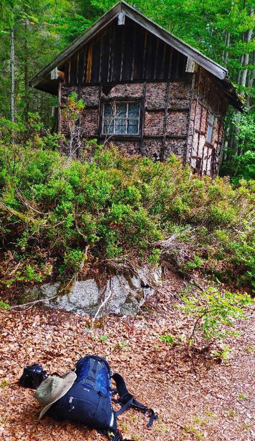 Ferienhof Degenhart Mauth Exteriör bild
